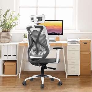Vergo Transform Ergonomic Mesh Office Chair